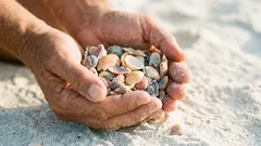 Verão na praia: o que pode levar consigo — e o que é proibido