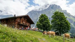 Nestes países, os turistas são recebidos de braços abertos: viagens sem preocupações