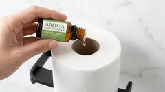 Aroma agradável na casa de banho em 1 minuto: sem ambientadores comprados