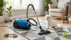 Muda de pelo na primavera: como remover pelos de animais de estimação dos tapetes