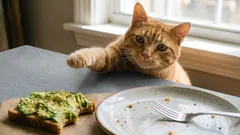 Como impedir seu gato de subir nas mesas e roubar comida — dicas de especialistas