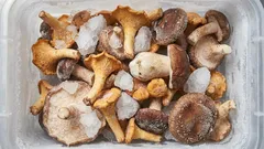 Como conservar corretamente cogumelos no congelador: congelar sem decepções — Dicas de especialistas