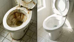 O segredo das donas de casa: como limpar uma sanita sem esforço extra